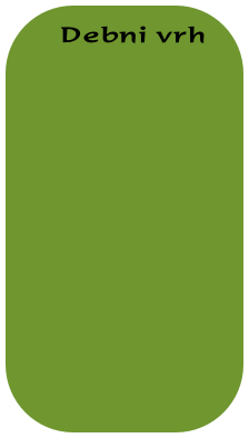   Debni vrh
    
